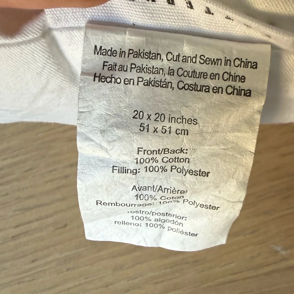 Pottery Barn 2 Pillow Inserts Size 20x20